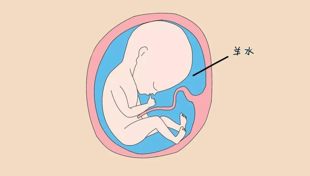 如何判断破水还是漏尿,如何区分破水和漏尿的区别