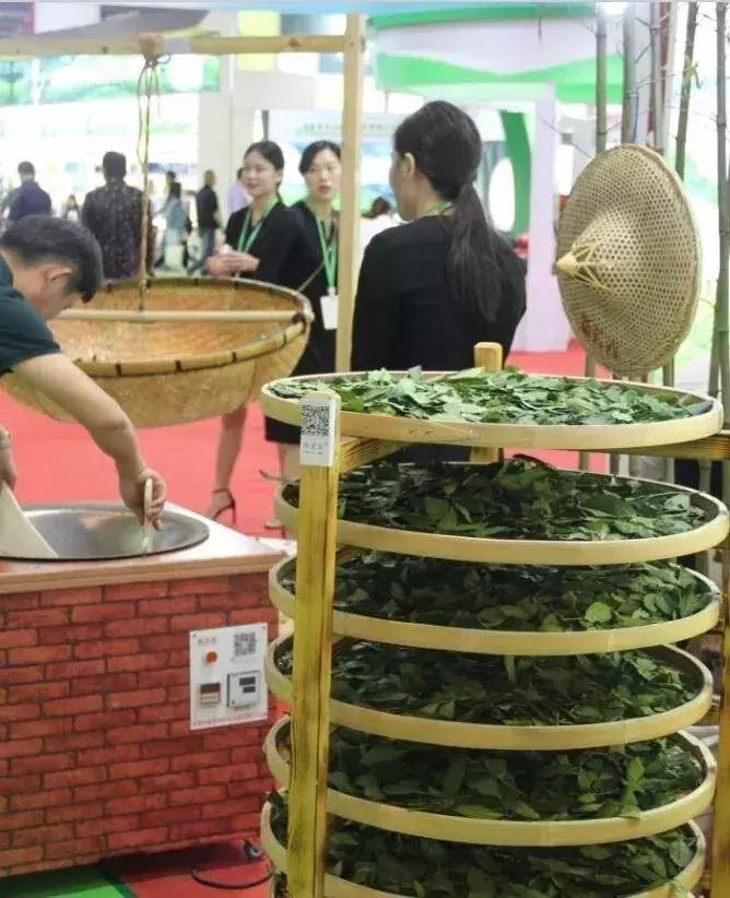 第三届国际茶博会开展!最全逛展攻略来了,附免费领门票通道