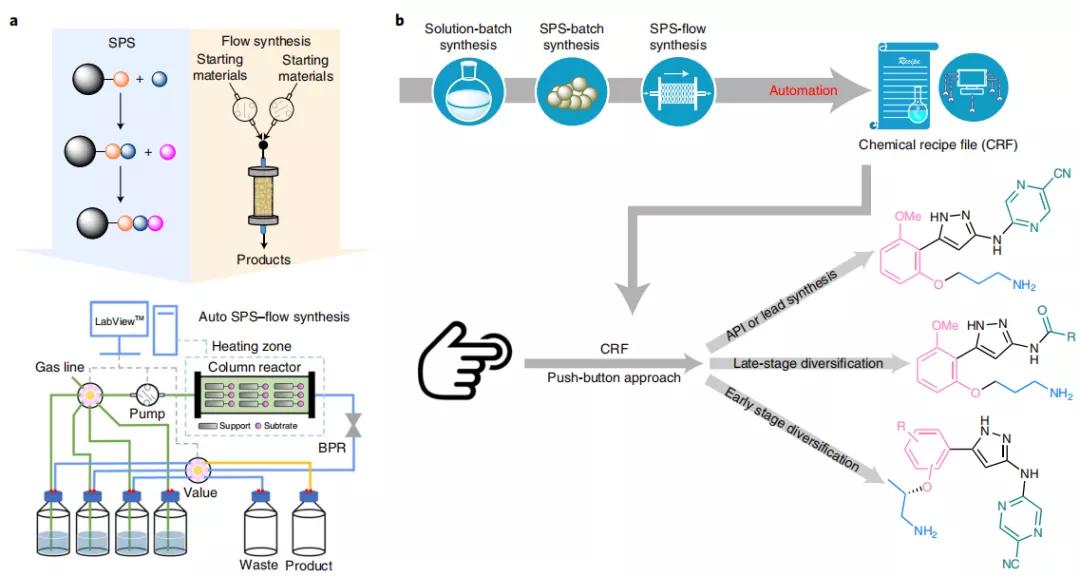 NUS研究团队开发自动化药物生产技术,「自动化多步合成」成可能