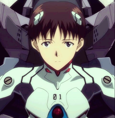 eva动画介绍,eva神作完整版