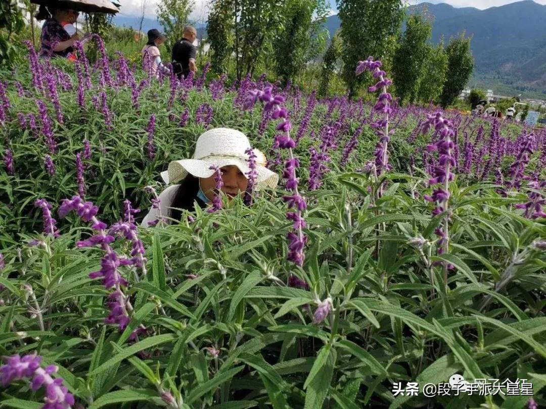 论男人拍照技术有多强大,钢铁直男的硬核操作看完你笑了吗