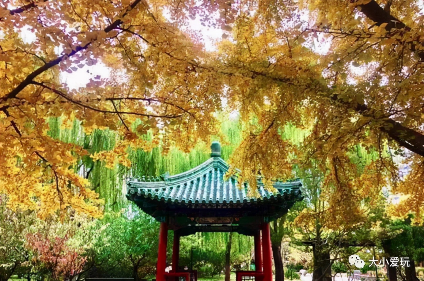 北京红螺寺银杏最佳观赏时间,北京赏银杏景区有哪些