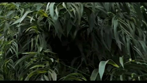 大侦探皮卡丘100个细节,大侦探皮卡丘萌化