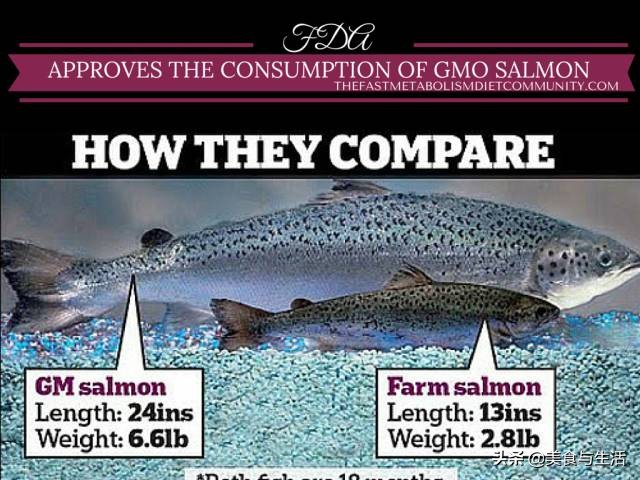 挪威三文鱼怎么挑新鲜,你吃的三文鱼是三文鱼吗