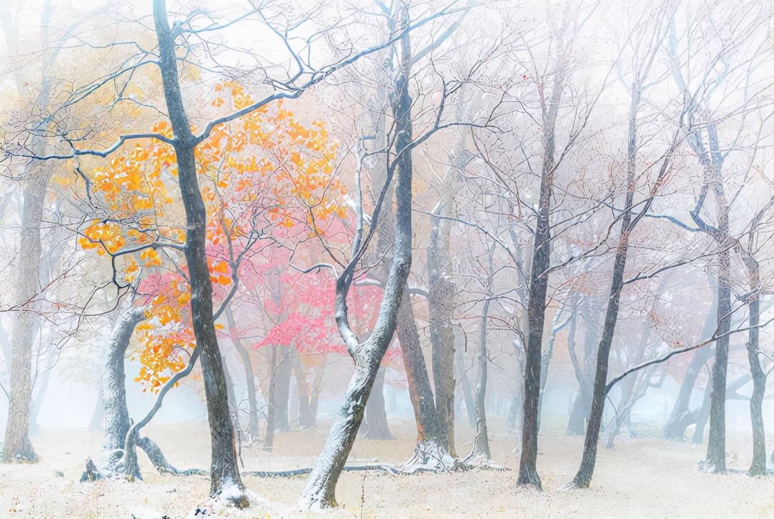 关于初雪的唯美现代诗词,关于初雪的诗句古诗名句