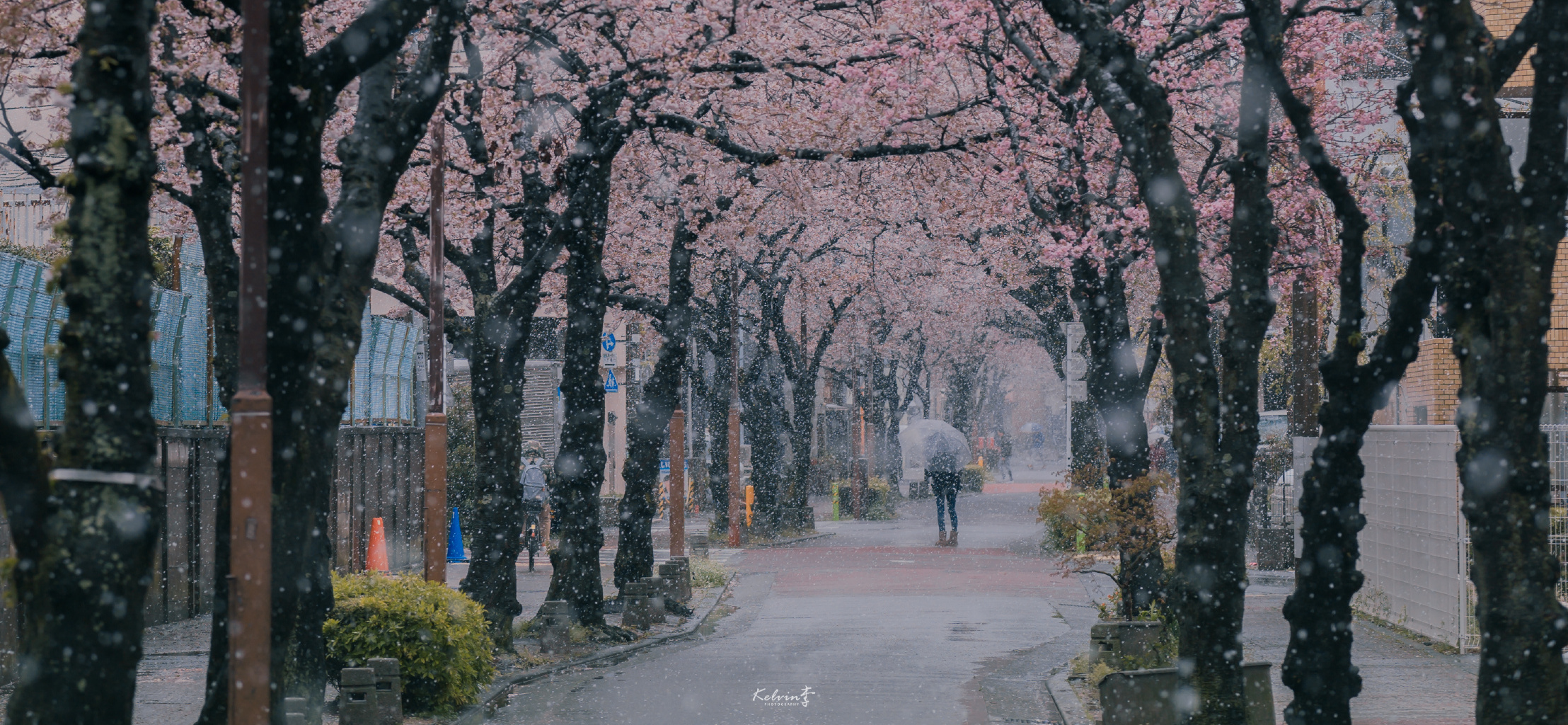 刚刚，我读了《刚刚》