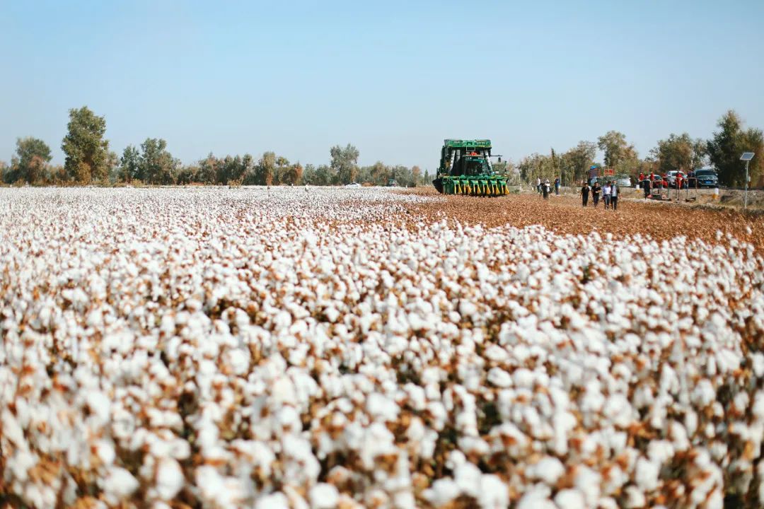 苏州女子探秘南疆巴州：这是一处色彩的世界，超出你的想象