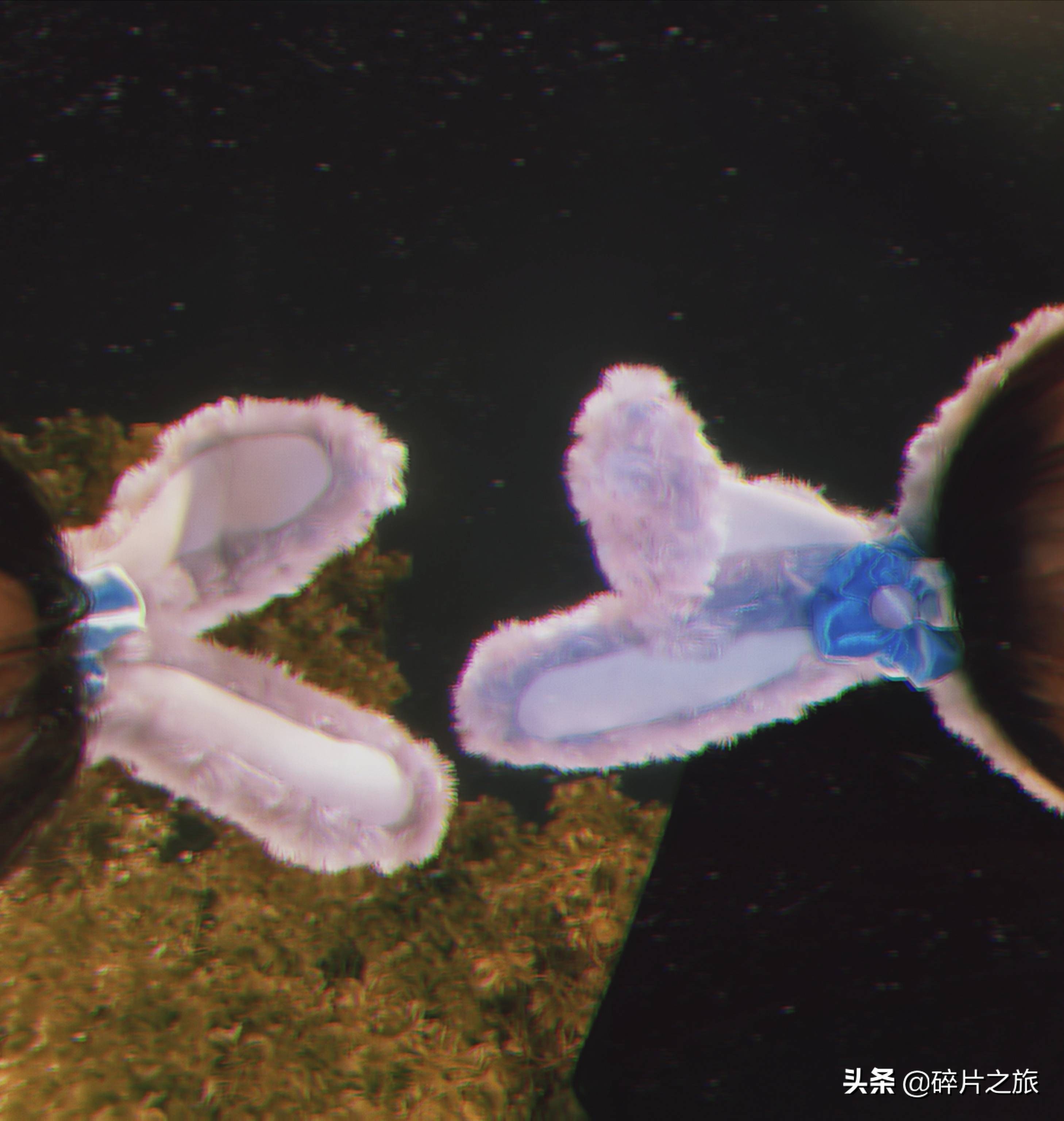 上海迪士尼必玩攻略最新,上海迪士尼游玩攻略教你