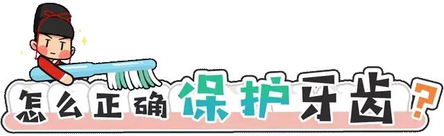 人体牙齿在哪个年龄段最坚硬,人体最坚硬的部位是骨骼还是牙齿