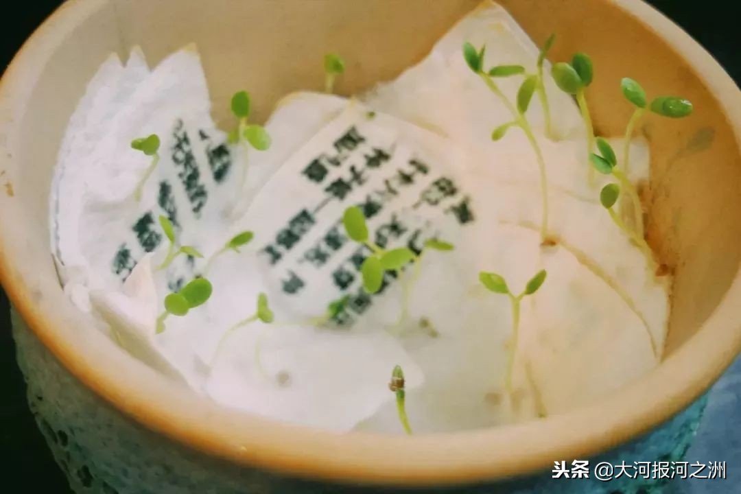 河之洲105丨一本日历为何变成一本书？（要看文末哦）