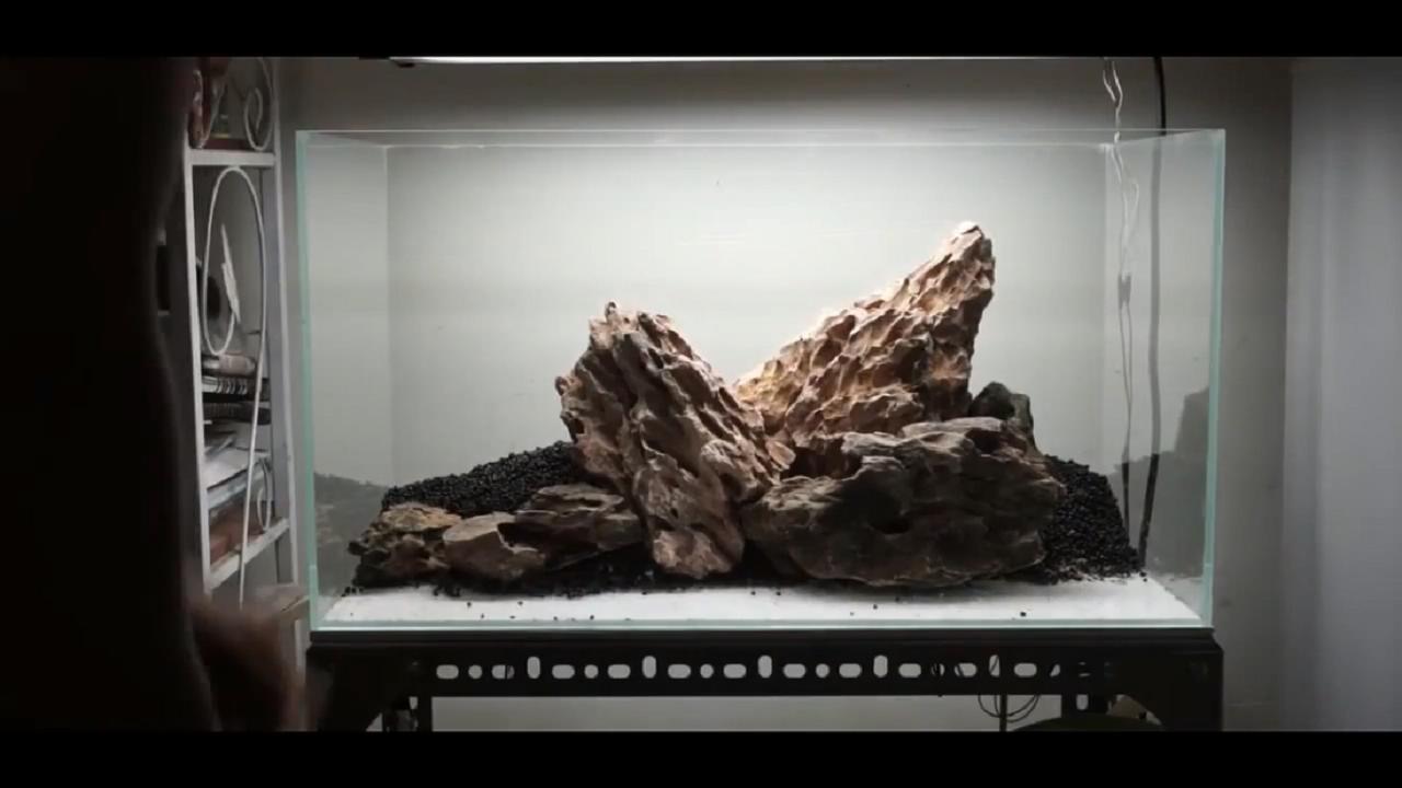 草缸皇冠水草造景,假山草缸水草造景