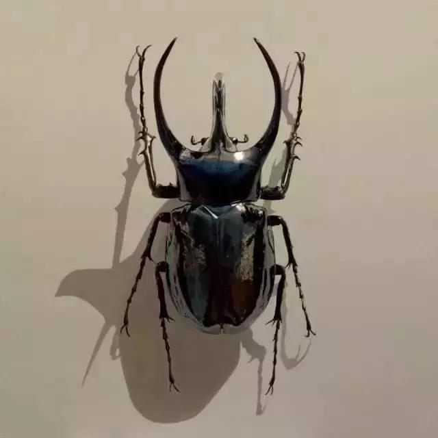 45岁韩国大叔,韩国45岁大叔