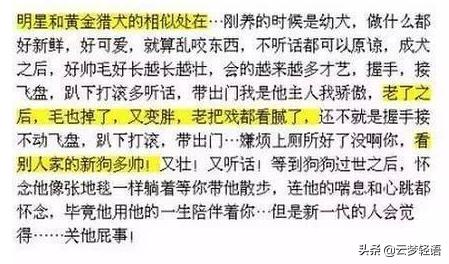 墙倒众人推，大张伟也来吃罗志祥的瓜了