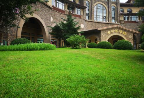 10年如一日，北京这些老小区“青春常驻”