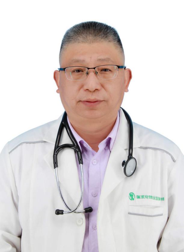 上海路的宠物医院有哪些,上海最好的宠物医院老西门