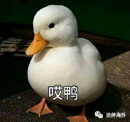 独栋现房别墅总价700万起,中国精装修现房独栋别墅出售价格