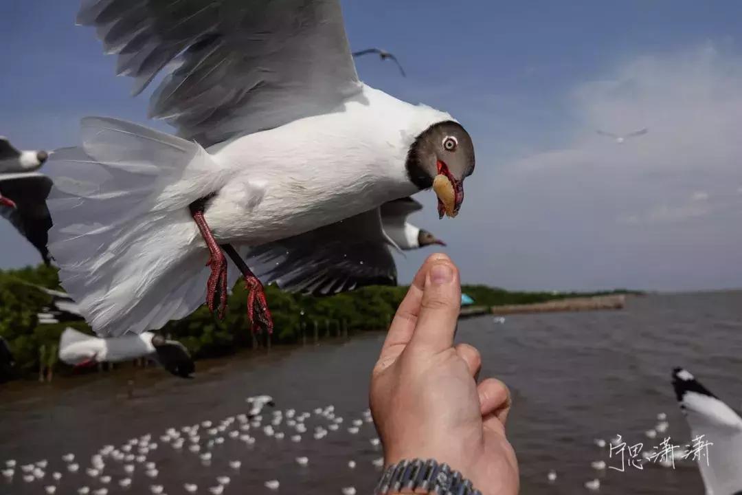对焦最好的6种方法,视频对焦4分钟学会30种对焦策略