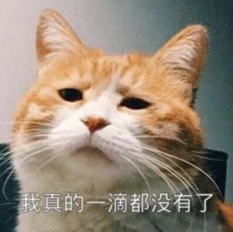 双十一攻略表,双十一前一小时攻略入口