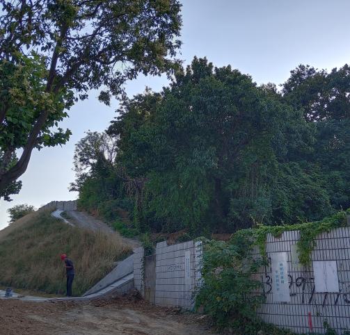 璧拌鍩庡競娲诲姩鐩爣,璧拌鍩庡競