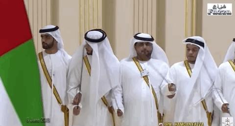 迪拜王子哈曼丹的儿子,哈曼丹王子双胞胎