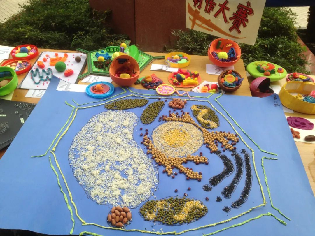 棠湖高中一共考取多少个北大清华,棠湖中学创新实验班多少分能进