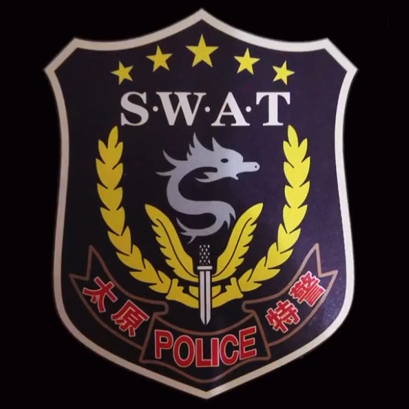 全国各个城市特警队臂章,公安特警帅图