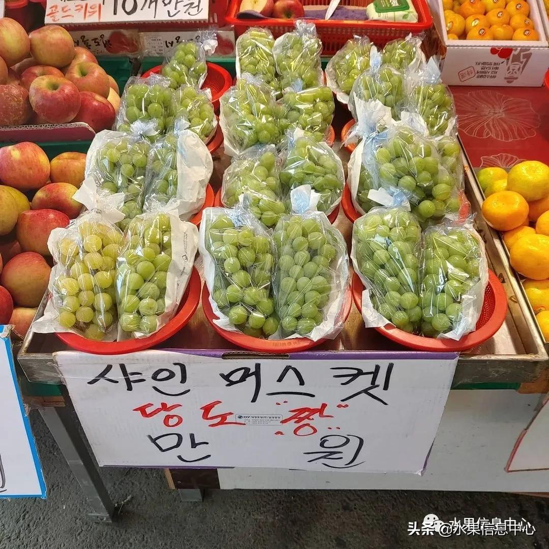 韩国水果批发市场进货渠道,韩国首尔最大的水果批发市场