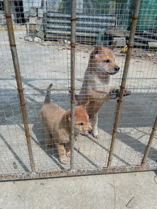 民间相术绝技100招,民间故事小视频
