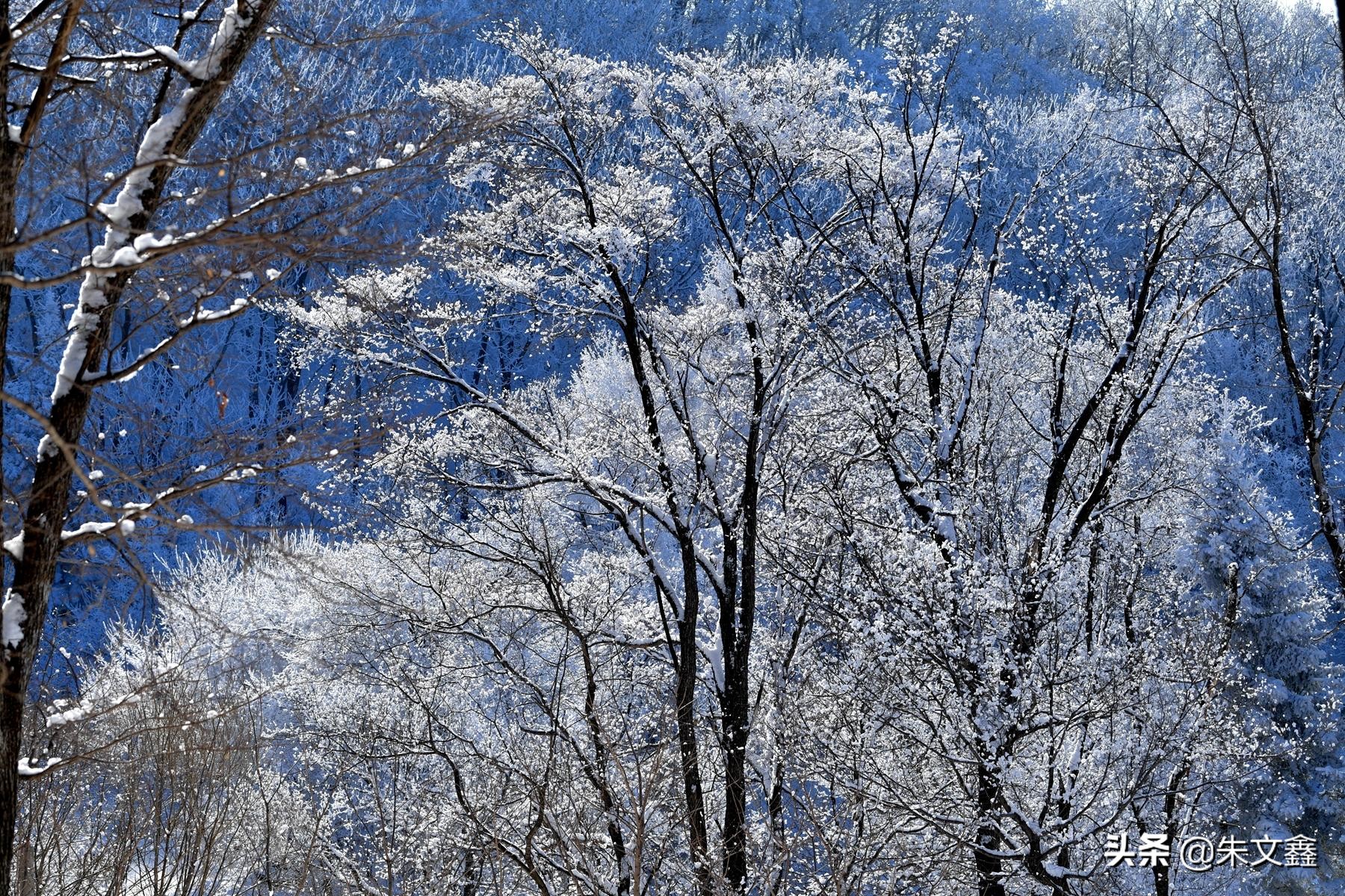 吉林柳河下雪,吉林省通化市柳河