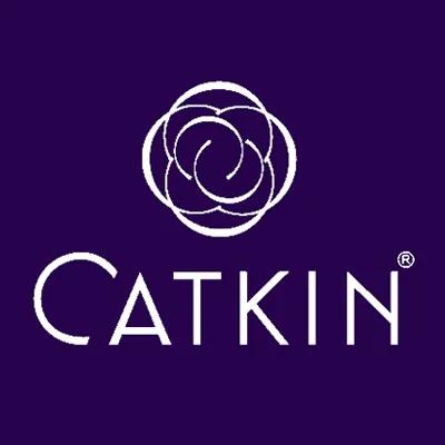 卡婷中国妆,卡婷知性口红