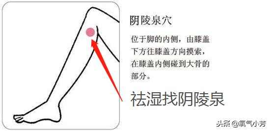 8个穴位治病口诀,一穴治一病图解