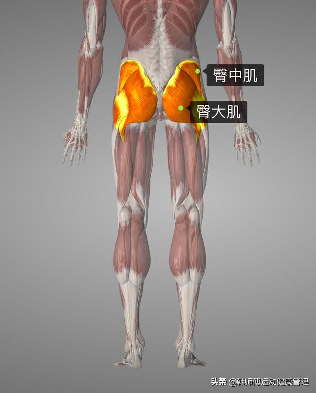 足球锻炼膝盖最好的动作,足球运动主要锻炼身体什么素质呢