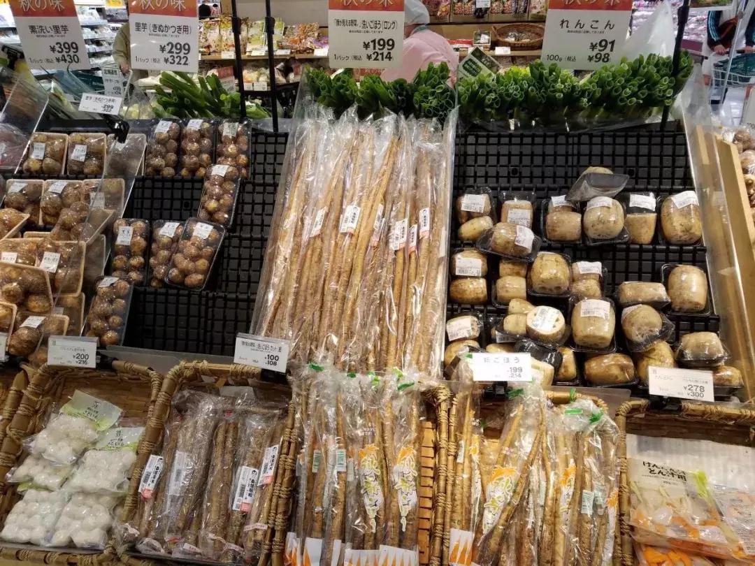 日本精致的日常生活 (日本的精致日常生活)