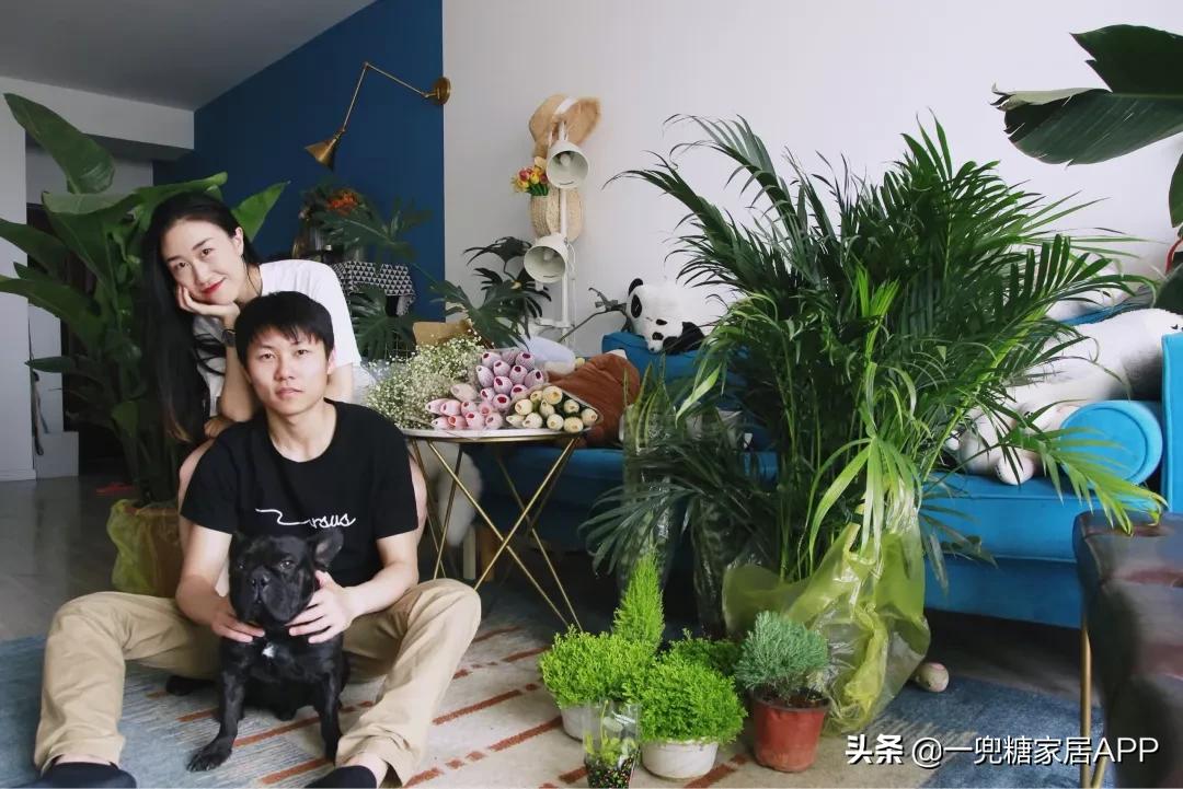 绉嶈崏鐢熸椿鏂瑰紡,绉嶈崏缁囧竷