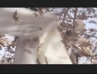 西门无恨什么实力,西门无恨大揭秘