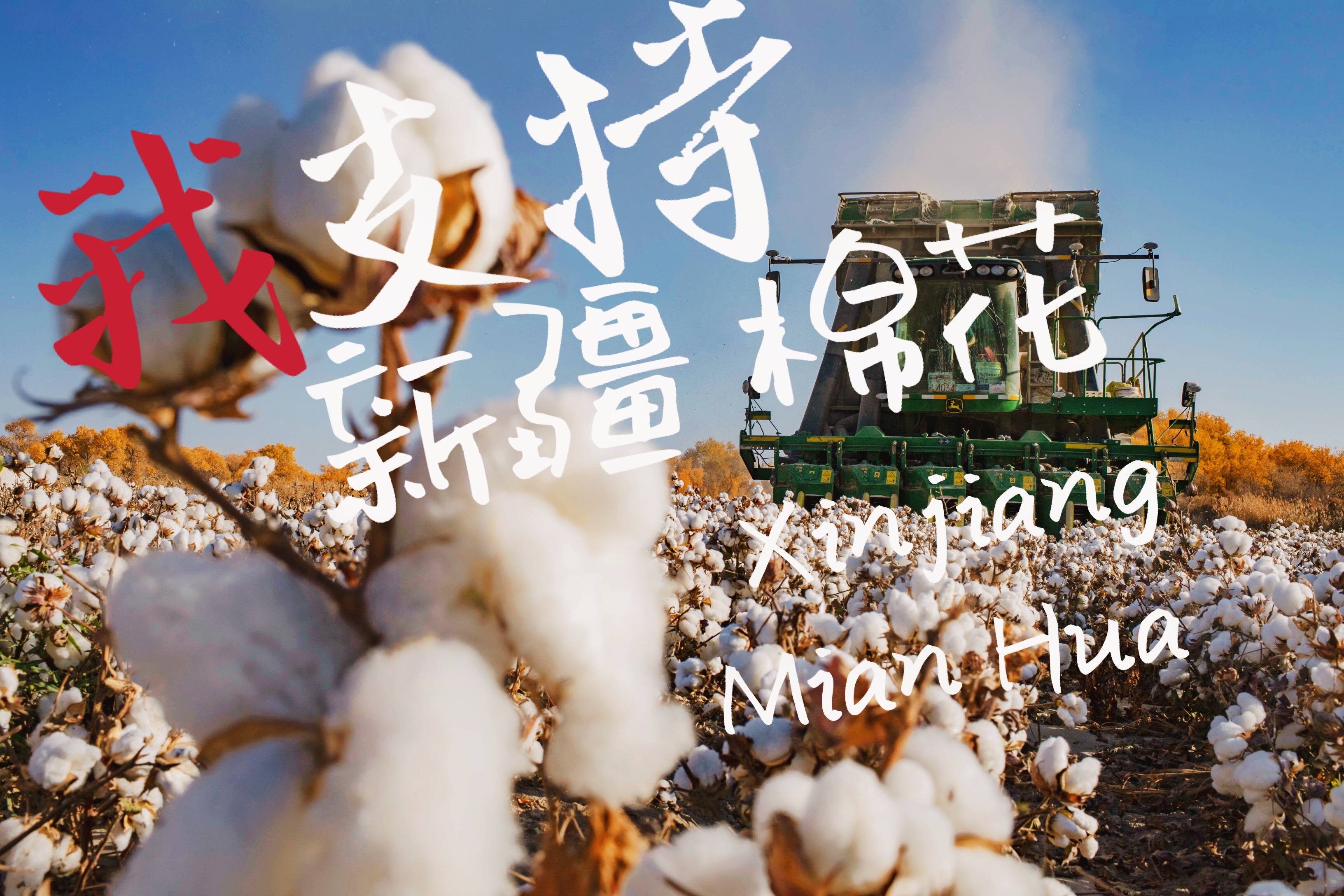 鸿星尔克狂野,鸿星尔克狂野消费