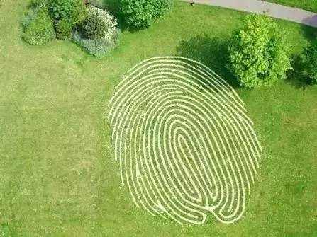 楼顶草坪花园设计效果图,草坪该如何养护管理