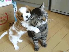 让你心动的搞笑图片,搞笑gif笑死人的动图