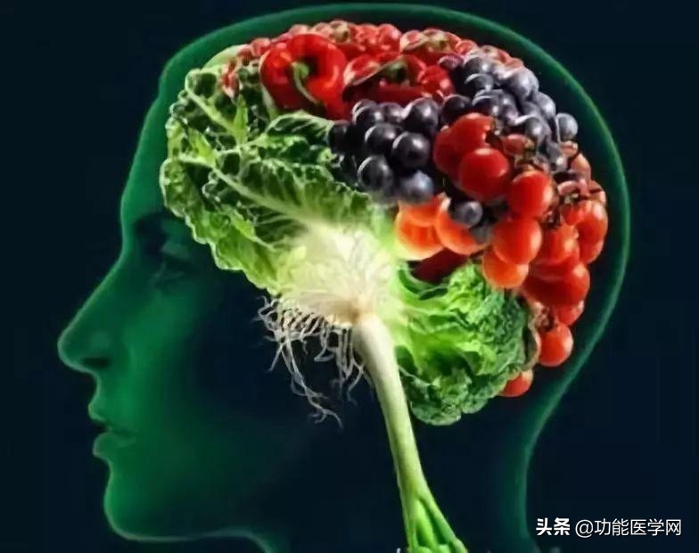 让人着迷的元素,微生物脑肠轴介绍