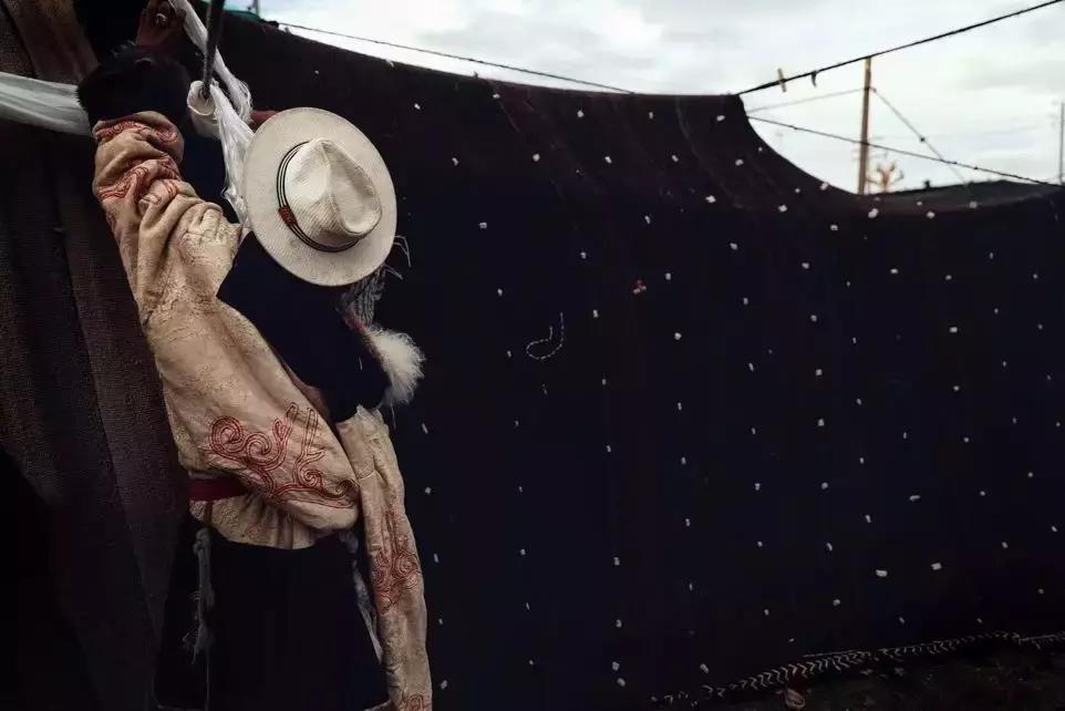 神秘的藏地精灵，米拉子子与米拉的故事