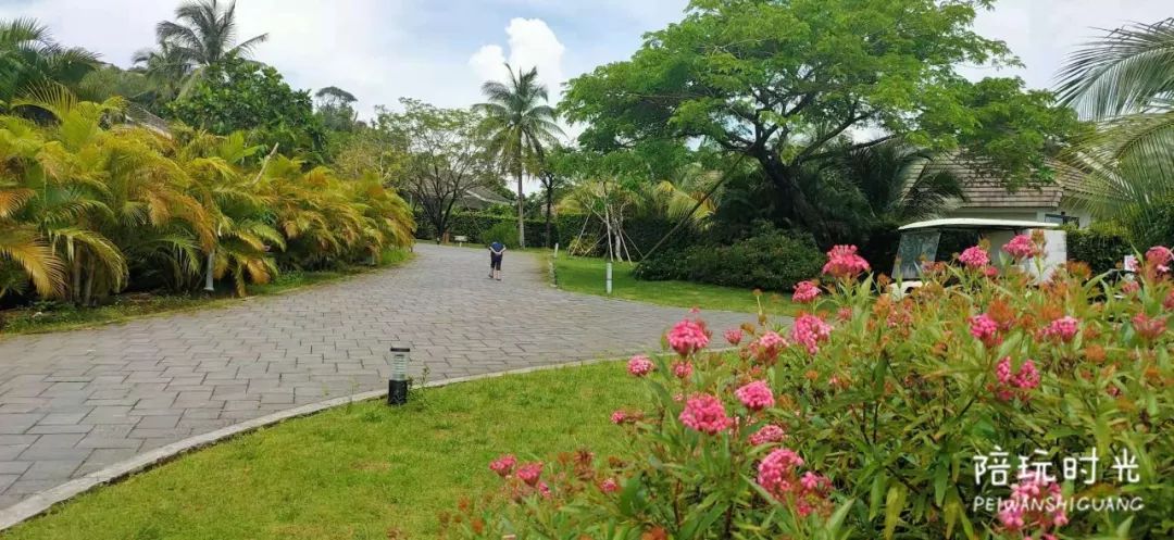 适合亲子游的海边酒店推荐,适合带娃的高端亲子海岛酒店