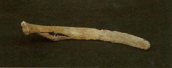 零口姑娘为何被残忍处死,零口姑娘为什么会被处死