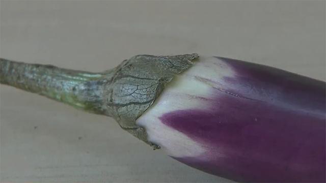 挑选茄子的方法看形状 (怎么挑茄子最准)