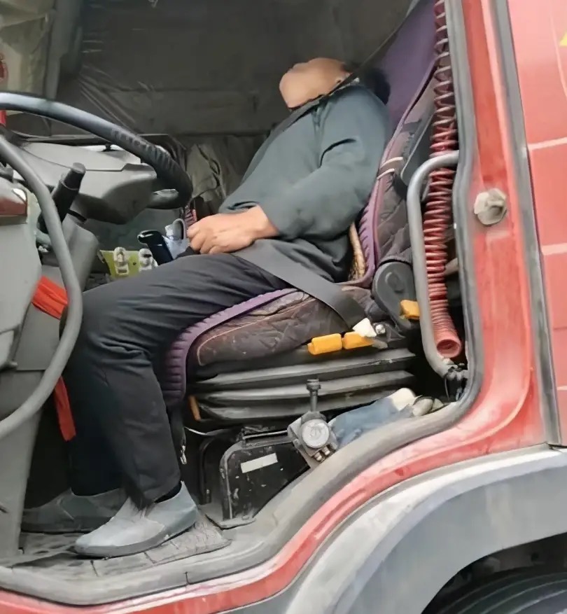 广西马蜂蜇伤事件,扫墓被马蜂蜇死