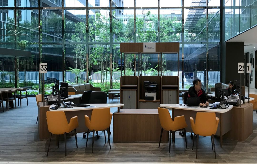 新加坡人口为什么这么少,新加坡最新人口比例