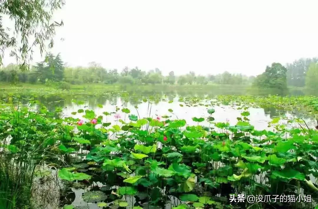 合肥游泳避暑地点,合肥避暑好玩的地方