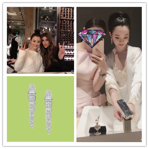 陈昱霖的奢侈品,陈昱霖同款珠宝包