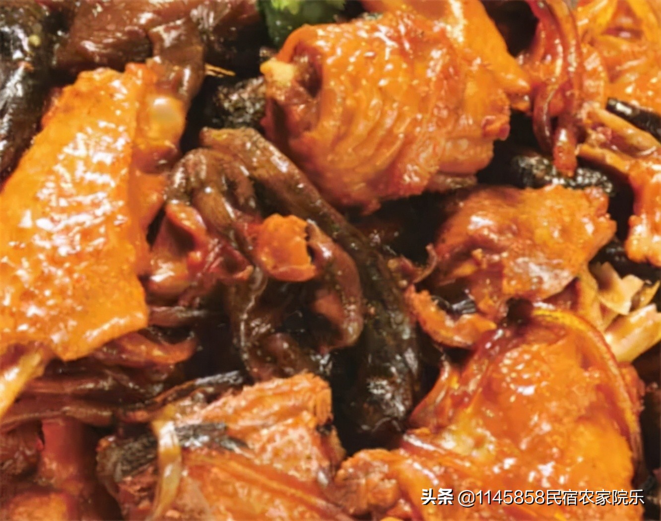 丰宁坝上奶豆腐,承德丰宁坝上友君庄园