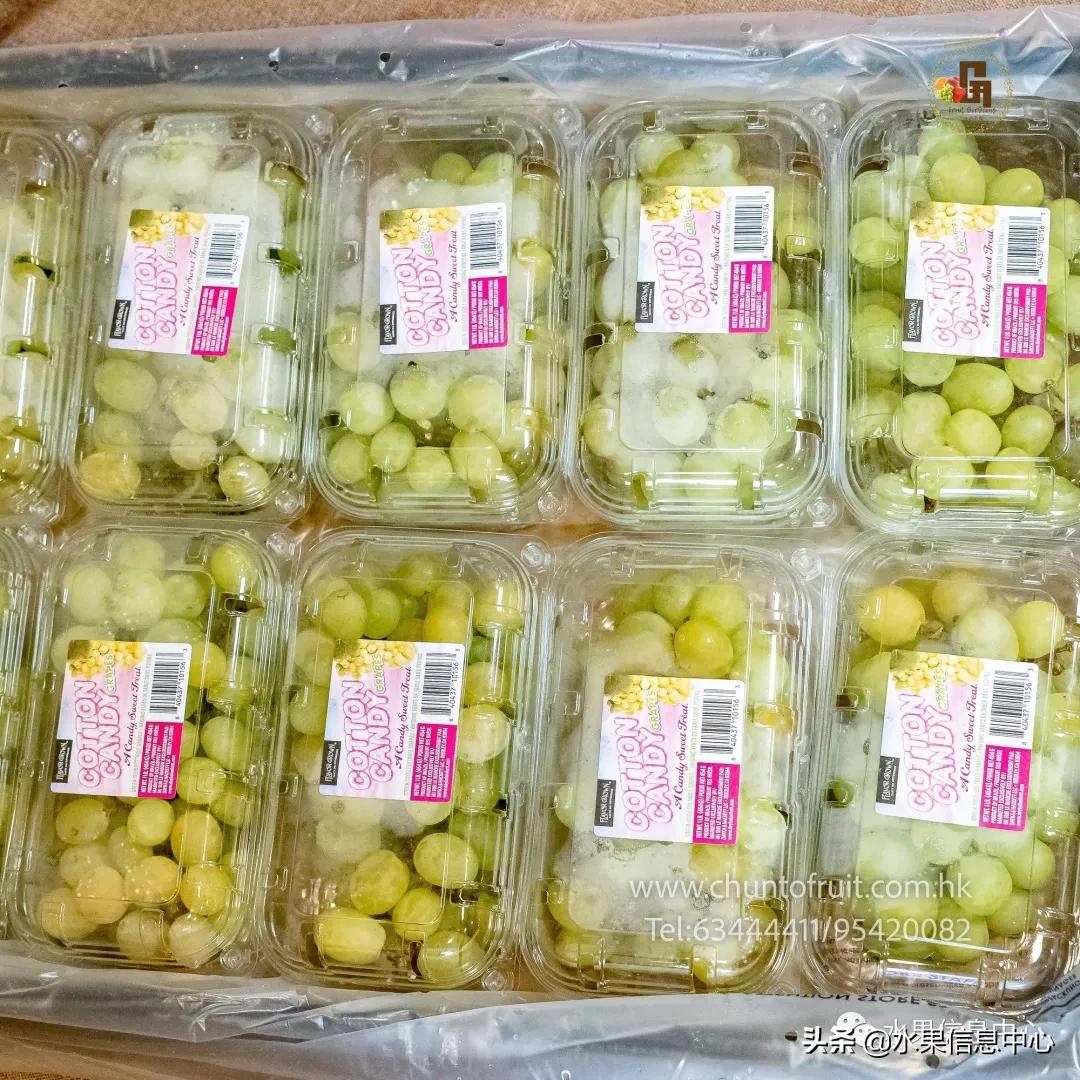 进口水果生意年入千万,批发水果月入百万