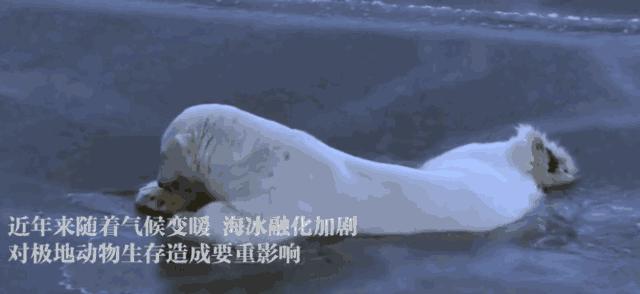 2019年地球进入小冰期,地球是大灾大难还是地球末日